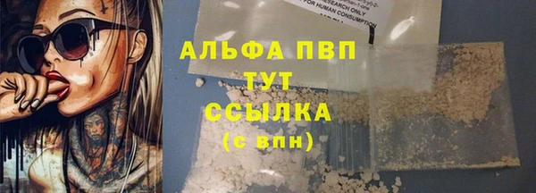СК Бородино