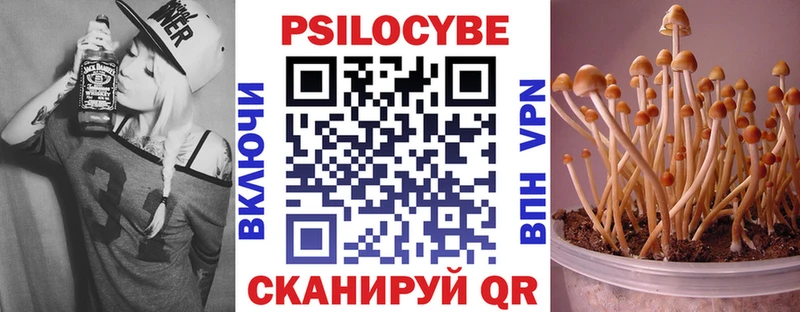 Галлюциногенные грибы Psilocybine cubensis  Ворсма 
