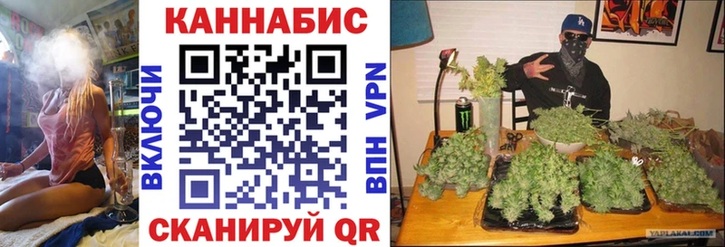 Бошки марихуана тримм  наркота  Ворсма 